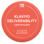 Klaviyo Deliverability Expert